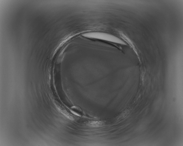 X0000078840059200612041850