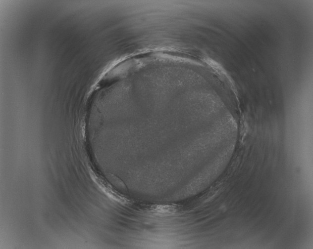 X0000078840060200612041850