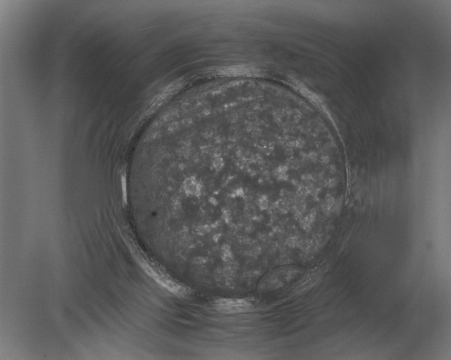 X0000078840061200612041850