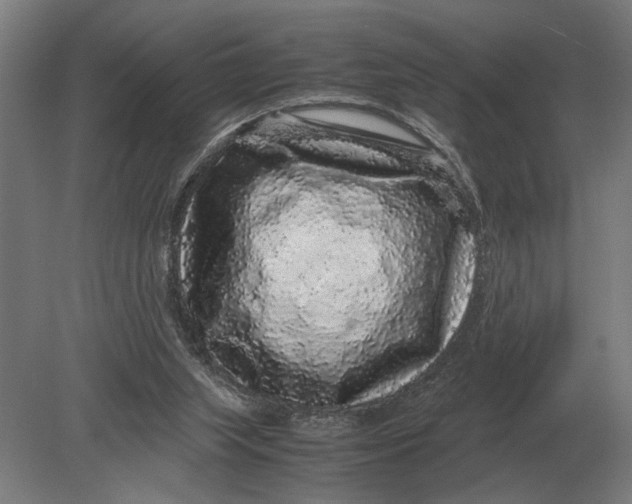 X0000078840063200612041850