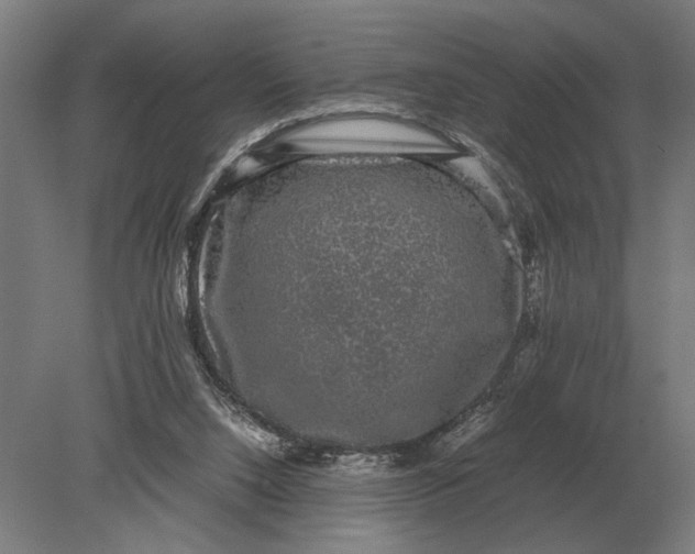 X0000078840064200612041850