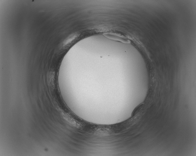 X0000078840066200612041850