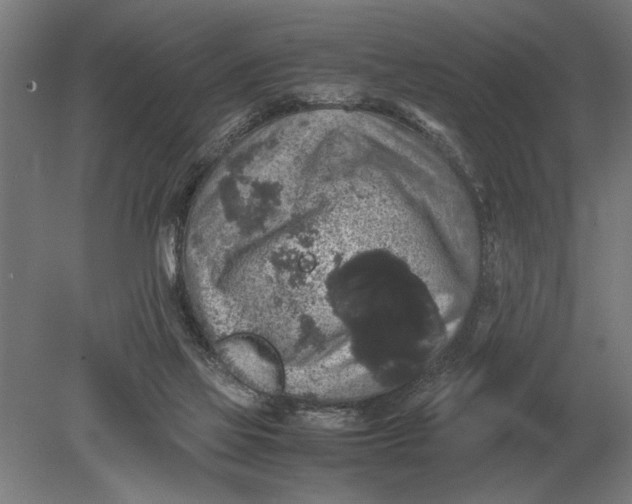 X0000078840069200612041850