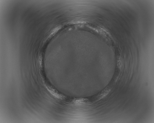 X0000078840072200612041850