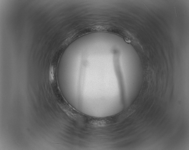 X0000078840075200612041850