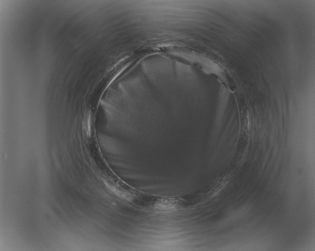 X0000078840076200612041850