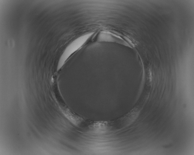 X0000078840080200612041850