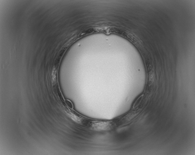 X0000078840081200612041850