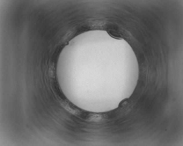 X0000078840083200612041850