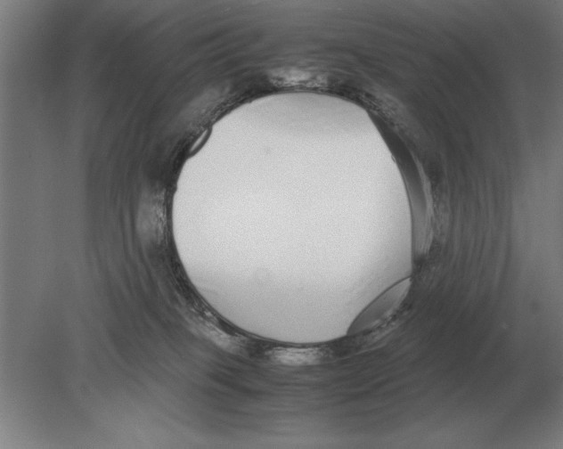 X0000078840085200612041850