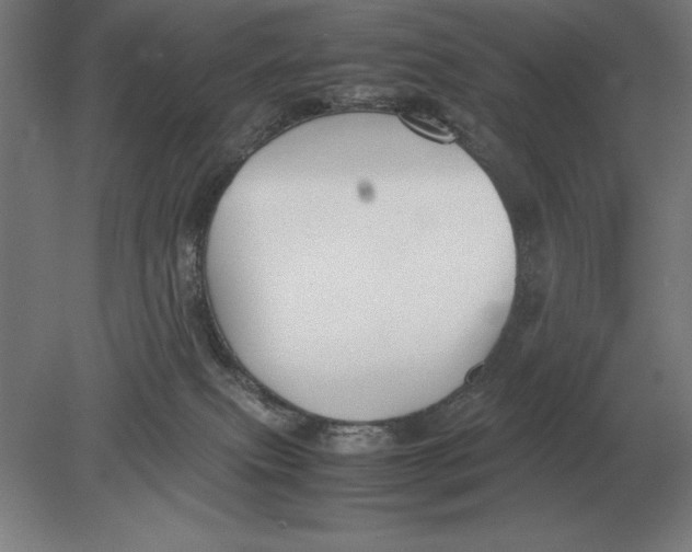 X0000078840087200612041850