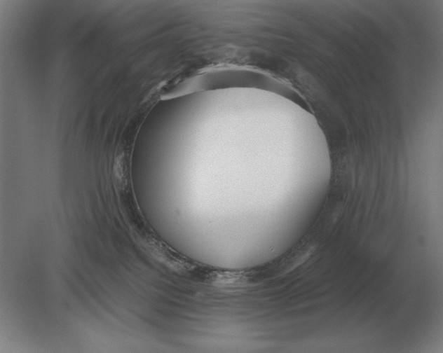 X0000078840088200612041850