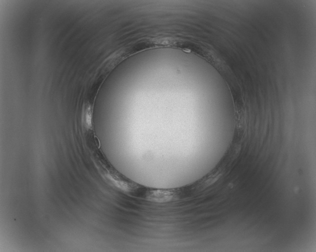 X0000078840095200612041851