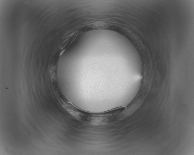 X0000078840096200612041851