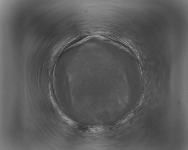 X0000078840097200612041850