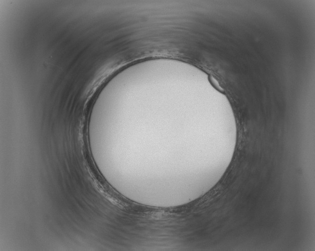 X0000078840098200612041850