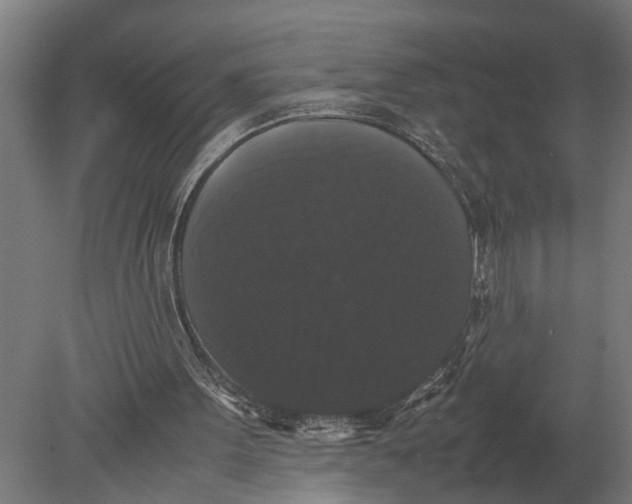 X0000078840099200612041850