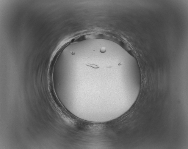 X0000078840102200612041850