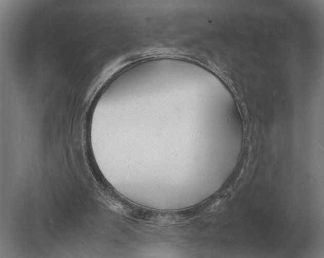 X0000078840103200612041850