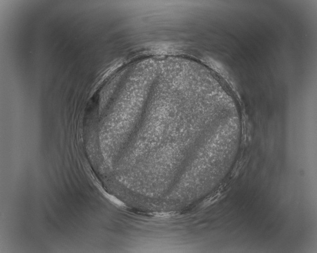 X0000078840105200612041850