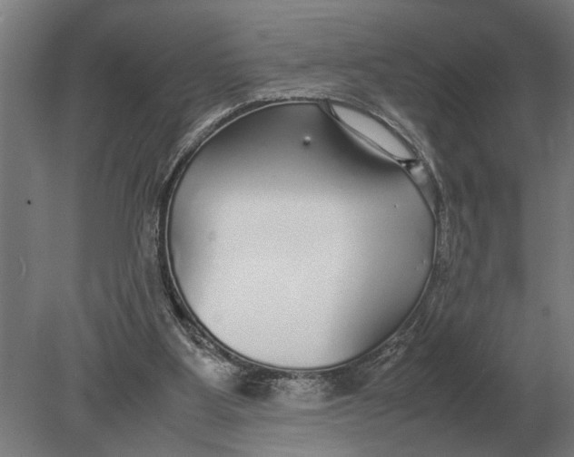 X0000078840107200612041850