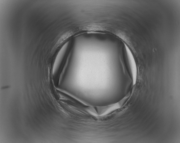 X0000078840109200612041850