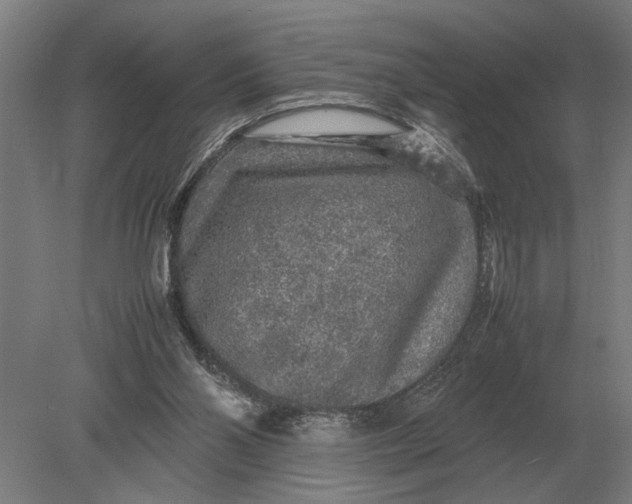 X0000078840110200612041850