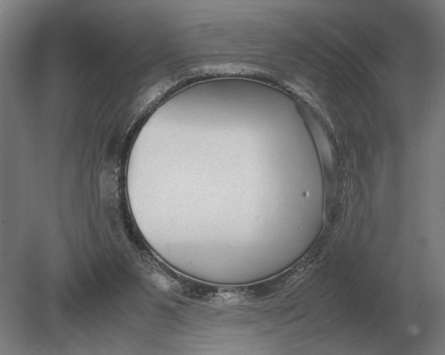 X0000078840111200612041849