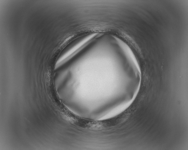 X0000078840113200612041849