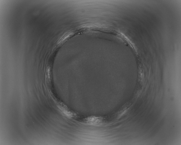 X0000078840117200612041849