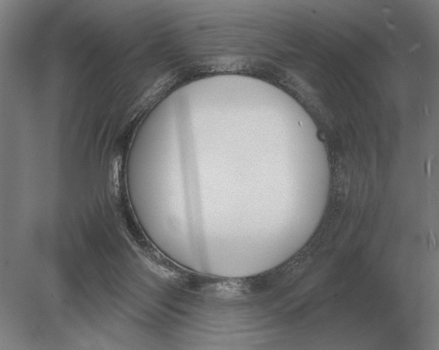 X0000078840118200612041849