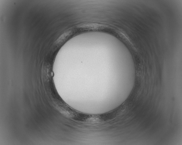 X0000078840119200612041849