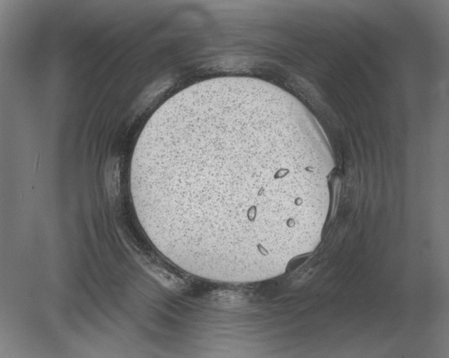 X0000078840120200612041849