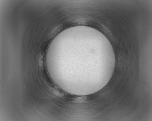 X0000078840122200612041849