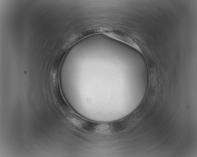 X0000078840123200612041849