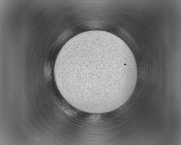 X0000078840124200612041849