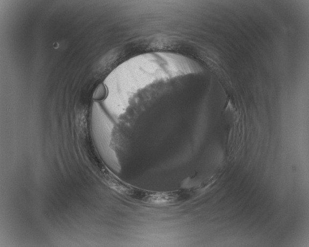 X0000078840127200612041849