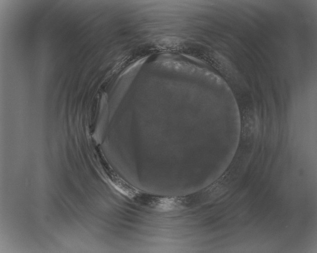 X0000078840130200612041849