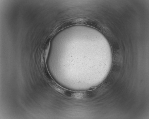 X0000078840131200612041849