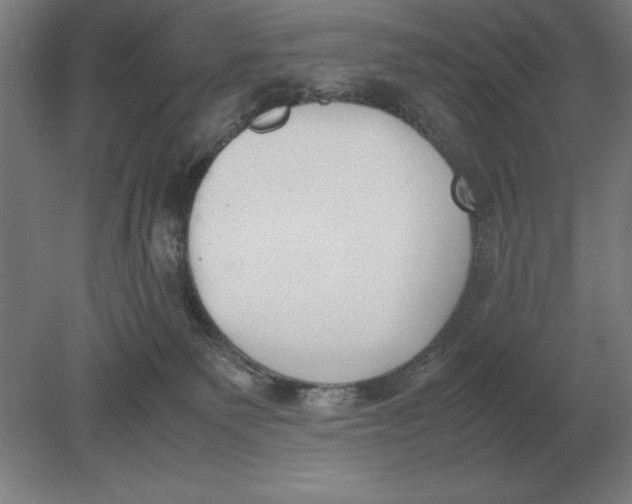 X0000078840135200612041849