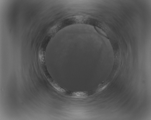 X0000078840137200612041849