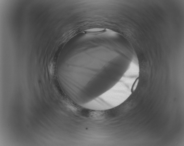 X0000078840139200612041849