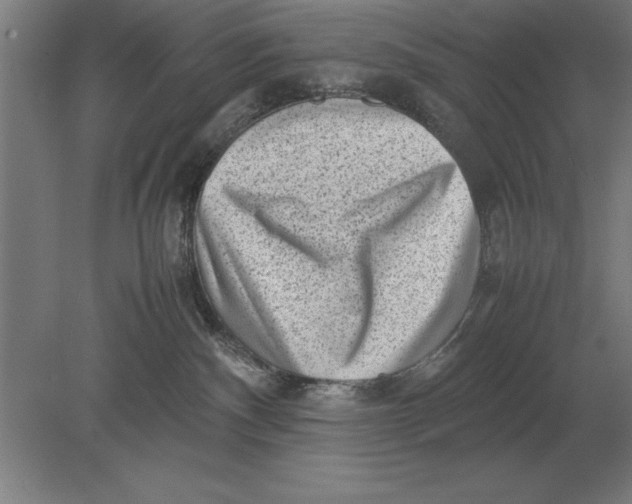 X0000078840140200612041849