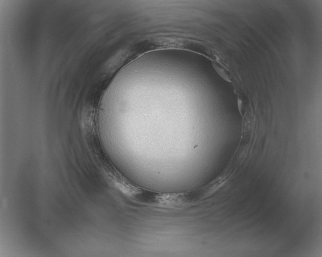 X0000078840141200612041849