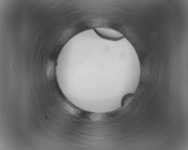 X0000078840142200612041849