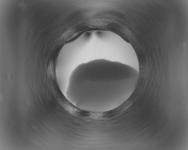 X0000078840143200612041849