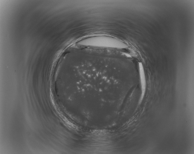 X0000078840145200612041848