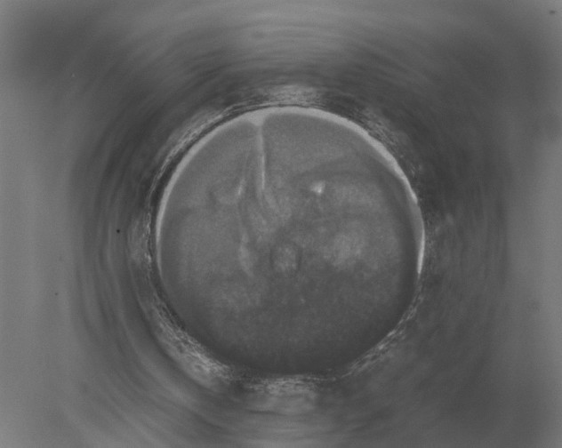 X0000078840146200612041848