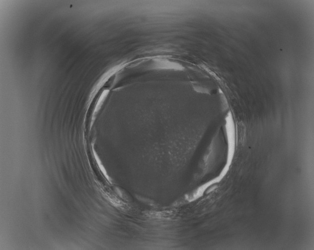 X0000078840147200612041848