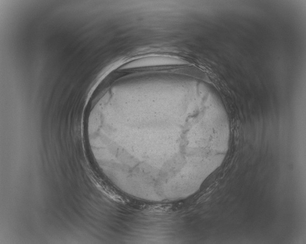 X0000078840148200612041848